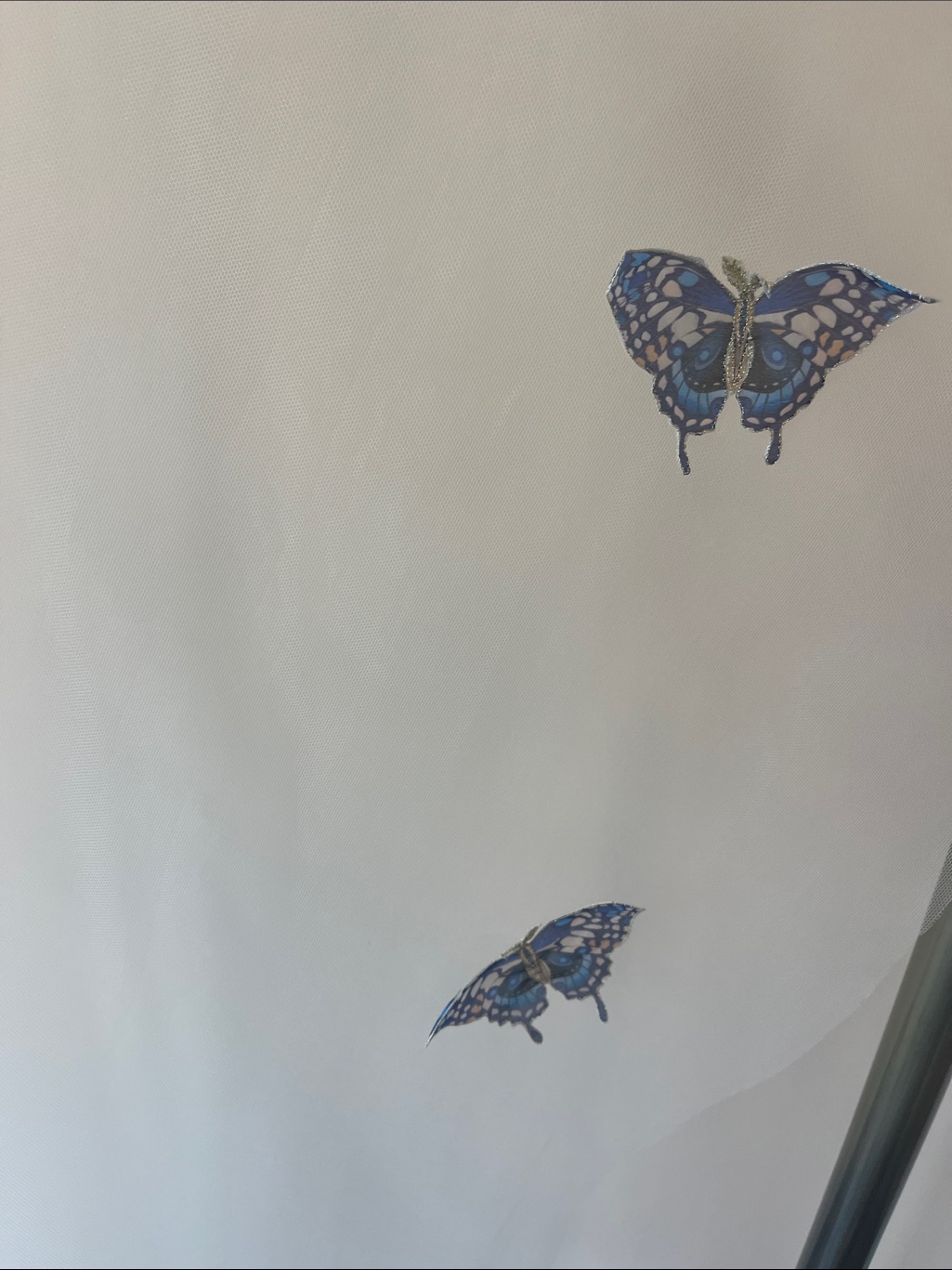Rue De Seine ‘Papillon’ Veil — image 6 of 7